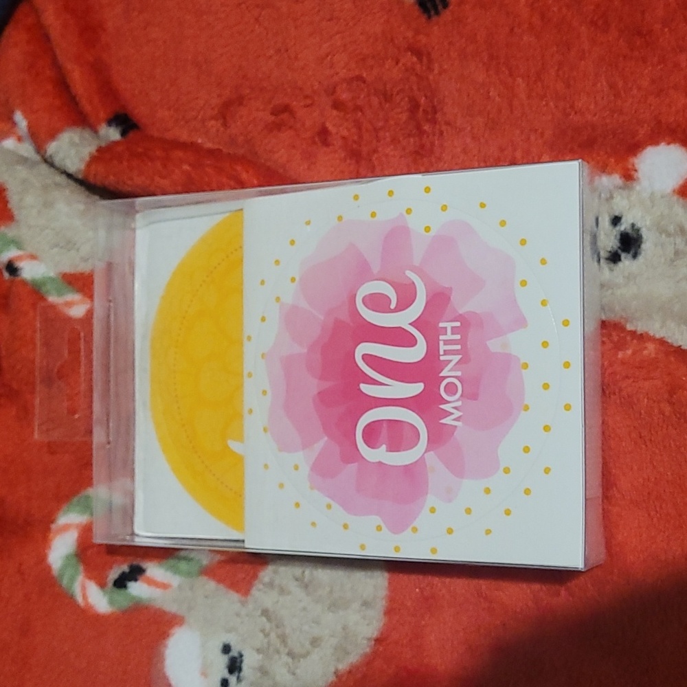 Monthy Baby Stickers